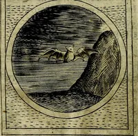 An illustration from Teatro d'imprese (1623)