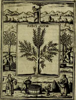 An illustration from Teatro d'imprese (1623)
