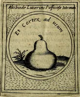 An illustration from Teatro d'imprese (1623)