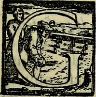 An illustration from Teatro d'imprese (1623)