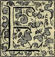 Picture 24 of 789 from Teatro d'imprese (1623), leaf 233