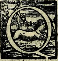 Picture 36 of 789 from Teatro d'imprese (1623), leaf 277