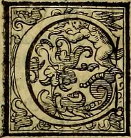 An illustration from Teatro d'imprese (1623)