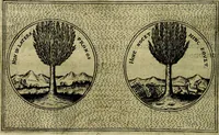 Picture 54 of 789 from Teatro d'imprese (1623), leaf 525