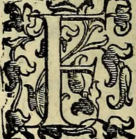 Picture 55 of 789 from Teatro d'imprese (1623), leaf 525