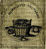 Picture 78 of 789 from Teatro d'imprese (1623), leaf 553