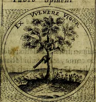 Picture 80 of 789 from Teatro d'imprese (1623), leaf 554