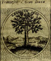 An illustration from Teatro d'imprese (1623)