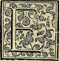 Picture 85 of 789 from Teatro d'imprese (1623), leaf 557
