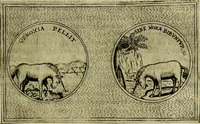 Picture 86 of 789 from Teatro d'imprese (1623), leaf 558