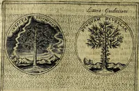 An illustration from Teatro d'imprese (1623)