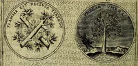 An illustration from Teatro d'imprese (1623)