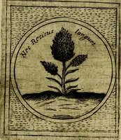 Picture 94 of 789 from Teatro d'imprese (1623), leaf 568