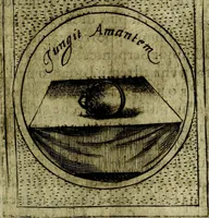 Picture 102 of 789 from Teatro d'imprese (1623), leaf 574