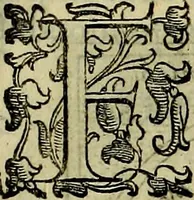 Picture 121 of 789 from Teatro d'imprese (1623), leaf 606
