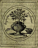Picture 122 of 789 from Teatro d'imprese (1623), leaf 606