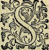 Picture 140 of 789 from Teatro d'imprese (1623), leaf 619