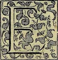 An illustration from Teatro d'imprese (1623)