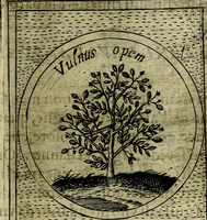 An illustration from Teatro d'imprese (1623)
