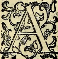 An illustration from Teatro d'imprese (1623)