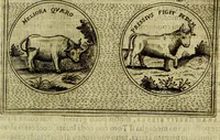 Picture 189 of 789 from Teatro d'imprese (1623), leaf 654