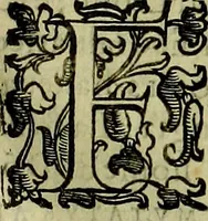 An illustration from Teatro d'imprese (1623)
