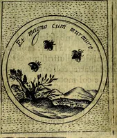 An illustration from Teatro d'imprese (1623)