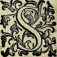 Picture 202 of 789 from Teatro d'imprese (1623), leaf 665