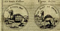 Picture 203 of 789 from Teatro d'imprese (1623), leaf 666