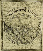 Picture 208 of 789 from Teatro d'imprese (1623), leaf 670