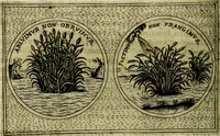 An illustration from Teatro d'imprese (1623)