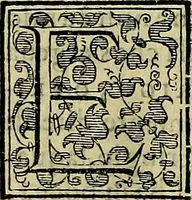 Picture 223 of 789 from Teatro d'imprese (1623), leaf 687