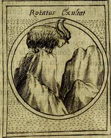 Picture 224 of 789 from Teatro d'imprese (1623), leaf 688