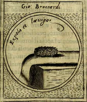 Picture 229 of 789 from Teatro d'imprese (1623), leaf 692
