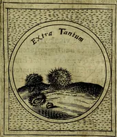 Picture 241 of 789 from Teatro d'imprese (1623), leaf 702