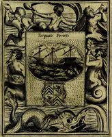 Picture 243 of 789 from Teatro d'imprese (1623), leaf 704
