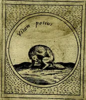 Picture 245 of 789 from Teatro d'imprese (1623), leaf 705