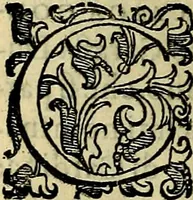 Picture 251 of 789 from Teatro d'imprese (1623), leaf 711