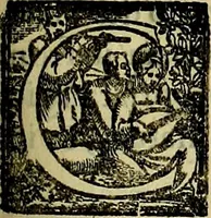 An illustration from Teatro d'imprese (1623)