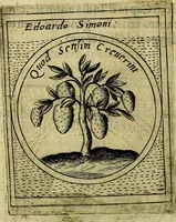 An illustration from Teatro d'imprese (1623)