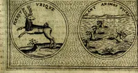 An illustration from Teatro d'imprese (1623)