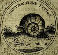 An illustration from Teatro d'imprese (1623)