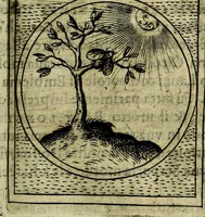 An illustration from Teatro d'imprese (1623)