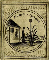 Picture 275 of 789 from Teatro d'imprese (1623), leaf 736