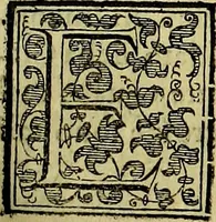 Picture 276 of 789 from Teatro d'imprese (1623), leaf 736