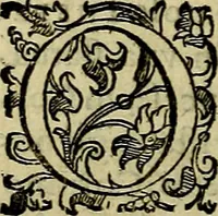 An illustration from Teatro d'imprese (1623)