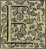 Picture 321 of 789 from Teatro d'imprese (1623), leaf 775
