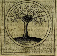 An illustration from Teatro d'imprese (1623)