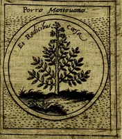 Picture 345 of 789 from Teatro d'imprese (1623), leaf 794