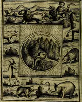 Picture 356 of 789 from Teatro d'imprese (1623), leaf 811